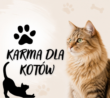 KOTY